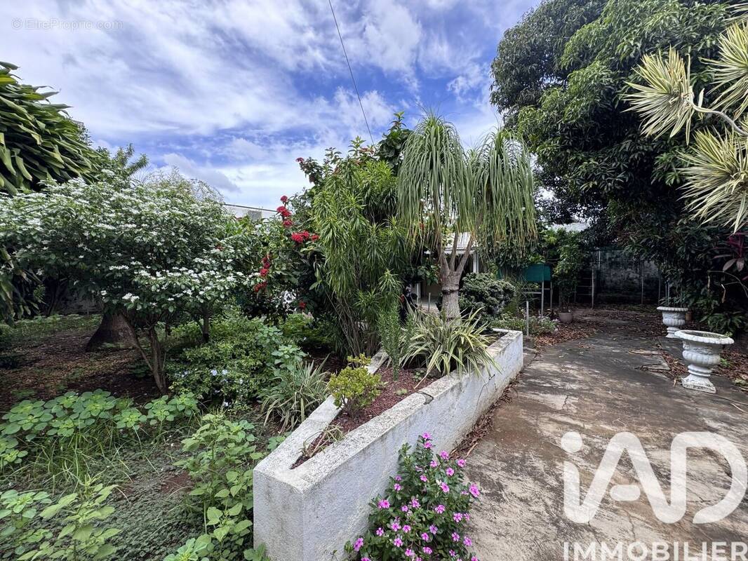 Photo 1 - Appartement à SAINT-PAUL