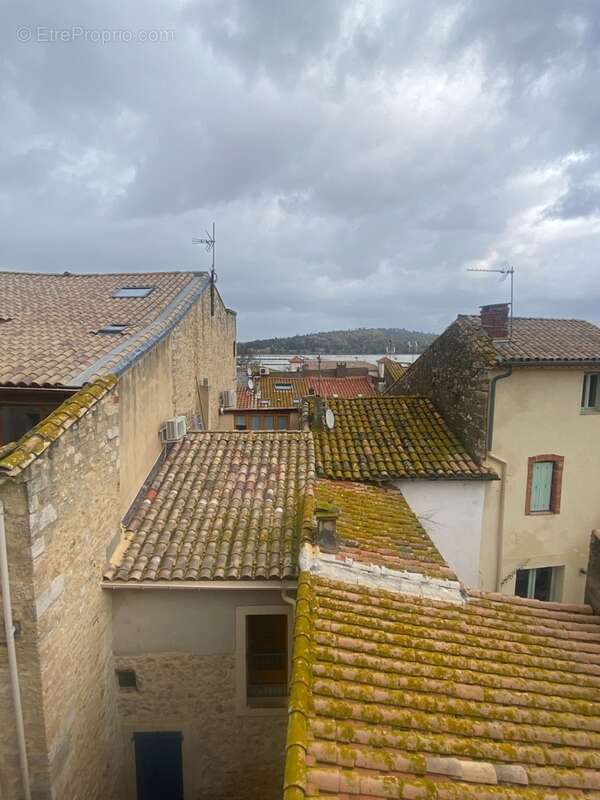 Rare......une maison: 2 appartements. une terrasse avec vue sur etang - photo 19