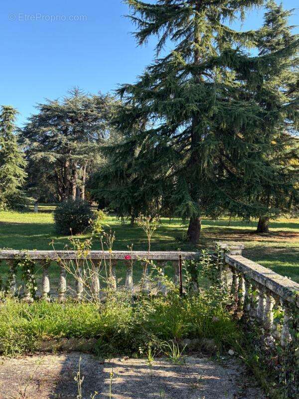 Maison à LAMOTHE-LANDERRON