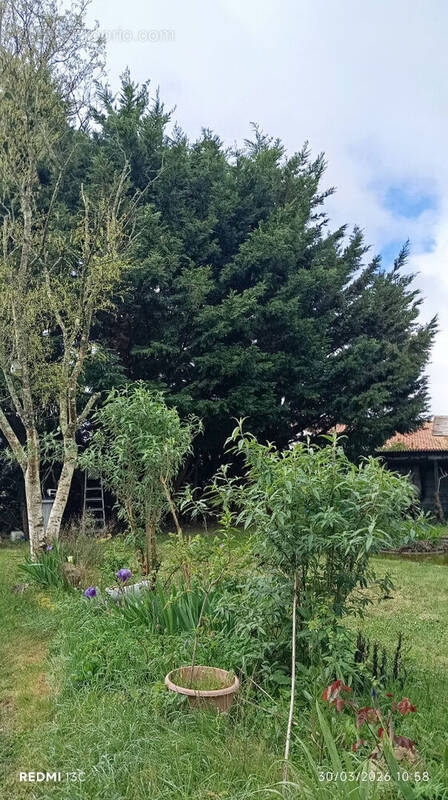 Terrain à SAINT-ETIENNE-DE-MER-MORTE