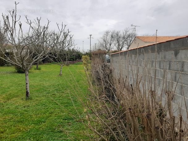 Terrain à SALLES-SUR-MER