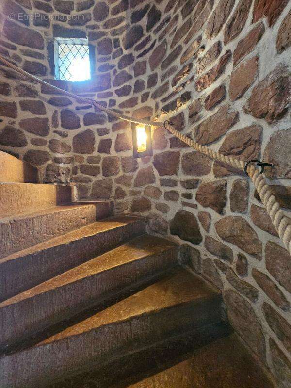Collonges La Rouge (19) : Moulin historique du 17° avec gîte indépendant - Rentabilité & charme en Corrèze ! EXCLUSIVITE - photo 6