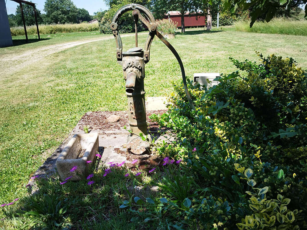 Ancienne ferme et ses dépendances avec 16ha - photo 9