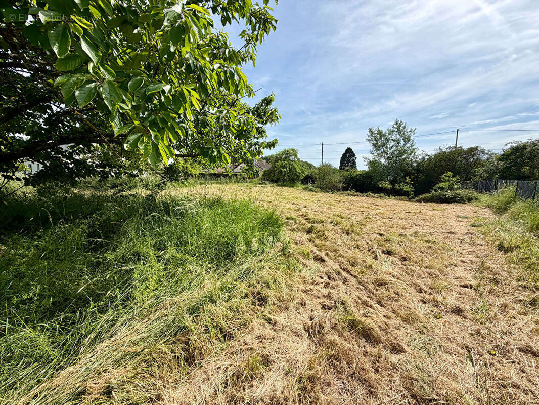 Terrain à DAMVILLE