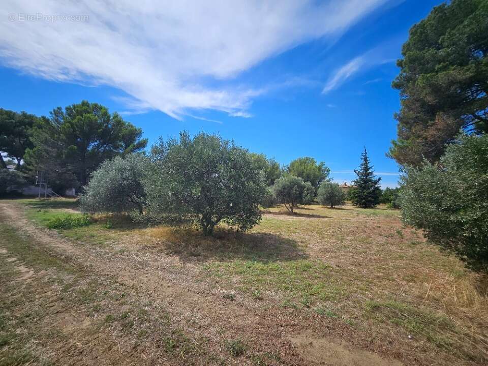 Terrain 472 m² à Saint-Chamas  - photo 3