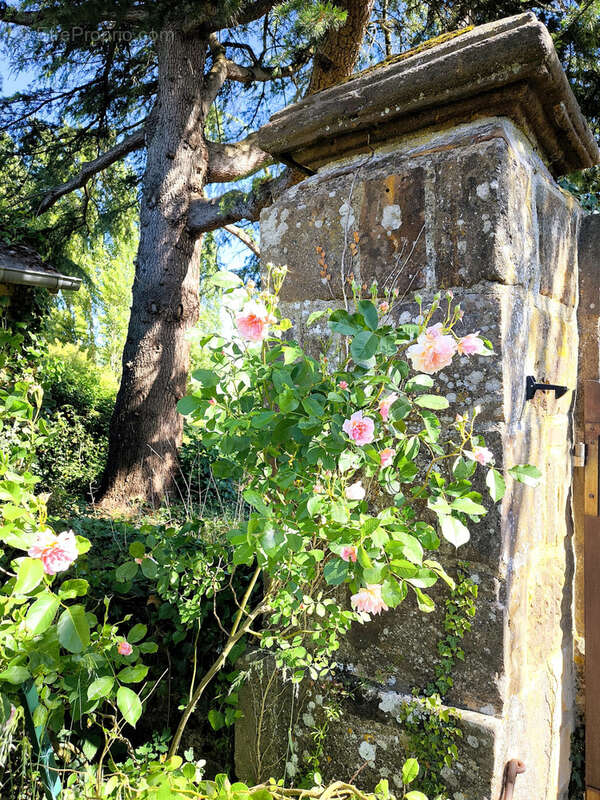 Maison à CRISSE