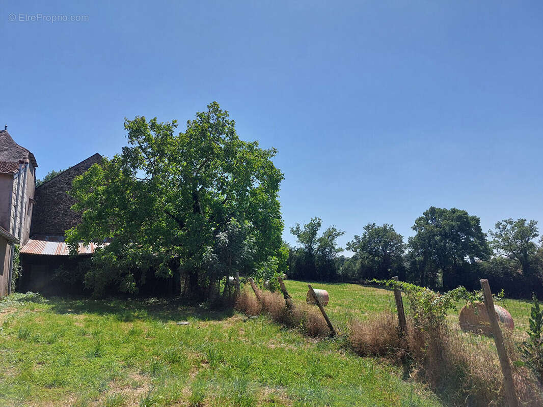 Maison Le Bas Segala - photo 5