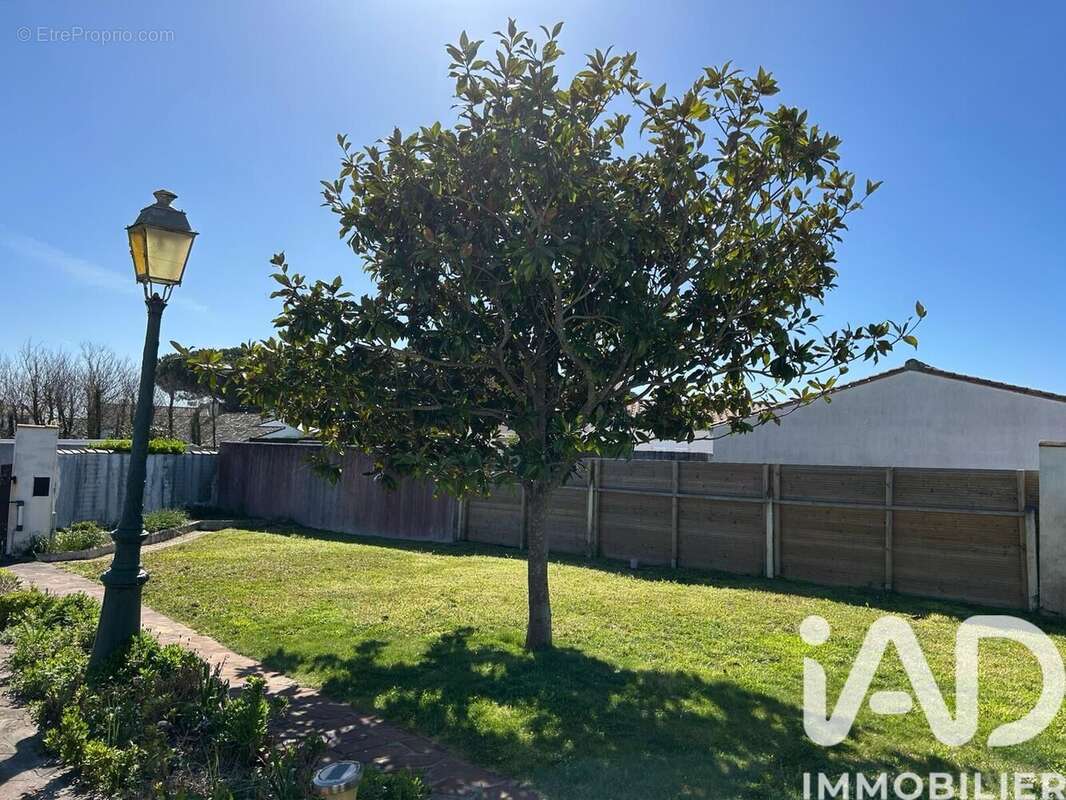 Photo 6 - Maison à LA COUARDE-SUR-MER