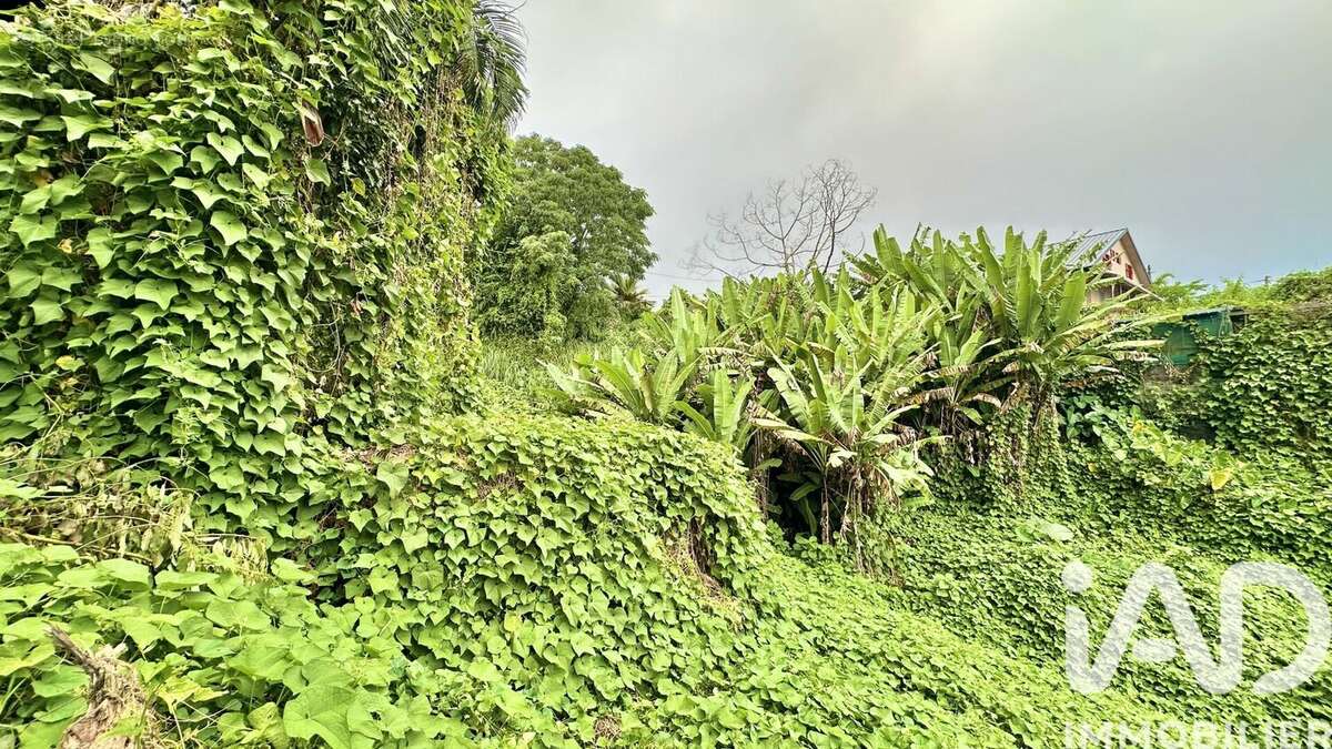 Photo 3 - Maison à PETITE-ILE