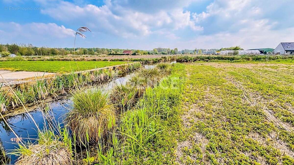 Maison à SAINT-OMER
