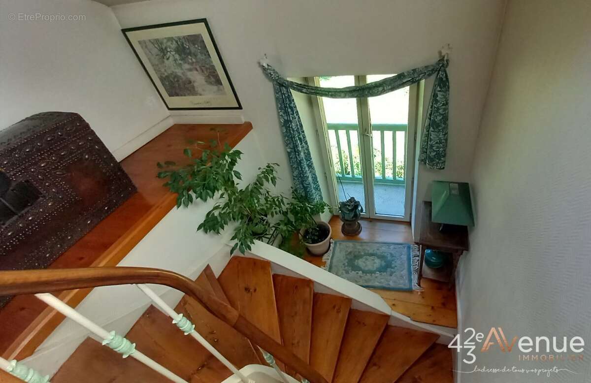 Maison 241 m² à Saint-Martin-La-Plaine  - photo 9