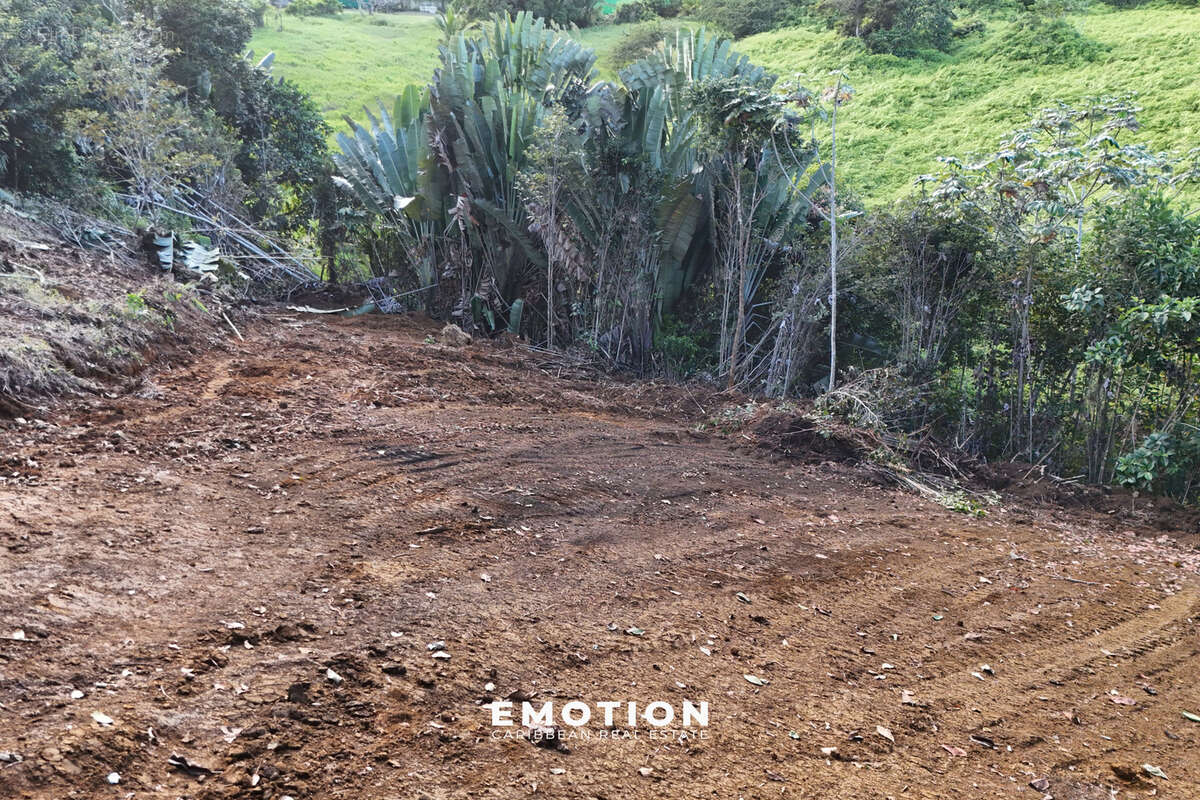 Terrain à PETIT-BOURG