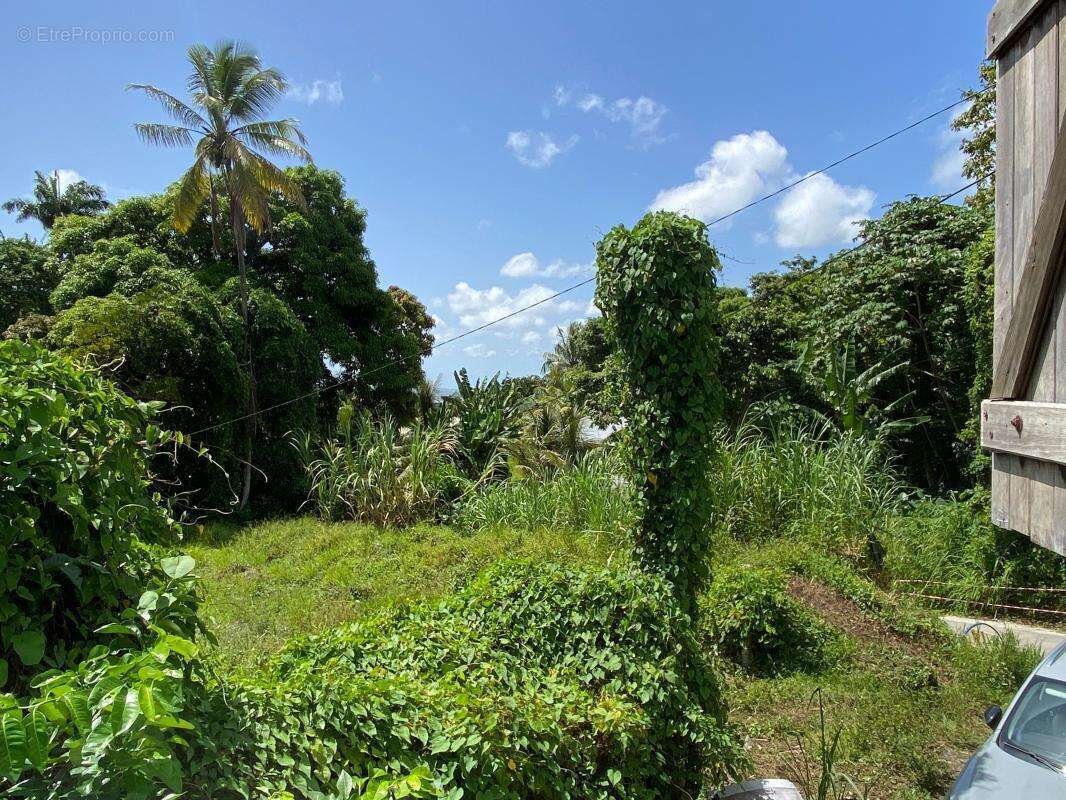Maison à GROS-MORNE