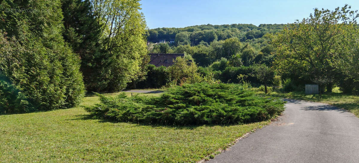 Maison 287 m² à Saint-Martin-D'ablois  - photo 5