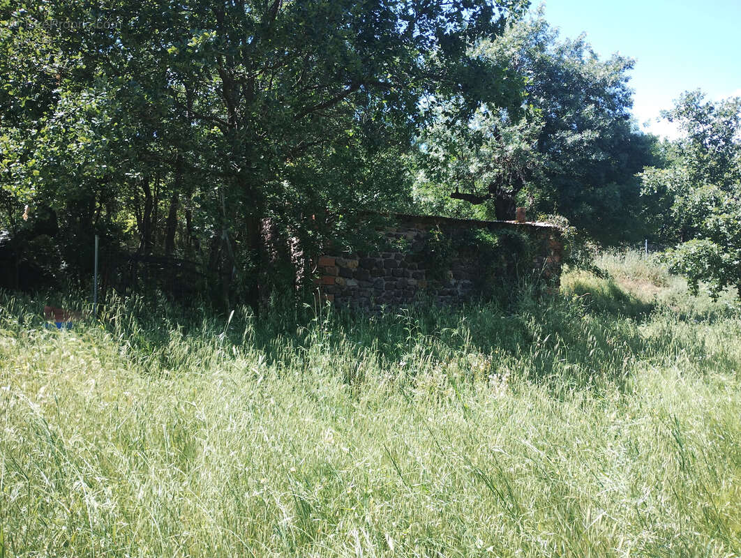 Vends terrain agricole et de loisirs 15 929 m2 - 34800 La Coste - photo 9