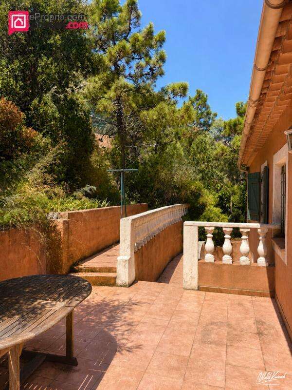 Maison à Anthéor avec vue mer, piscine et deux logements indépendants - photo 11
