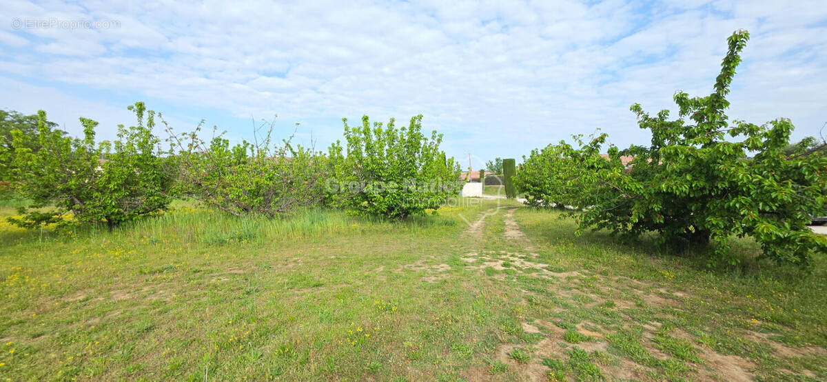 Terrain à CAVILLARGUES