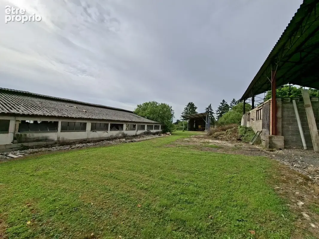 Maison 110 m² à Creches-Sur-Saone  - photo 6