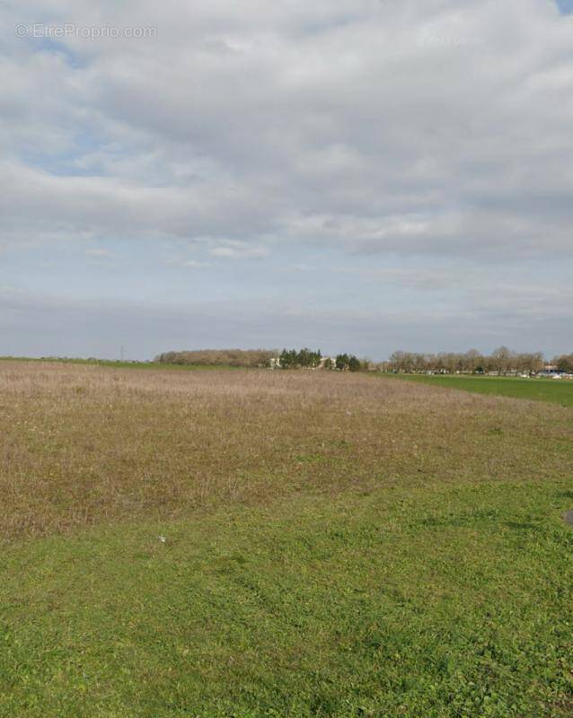 Terrain à PUILBOREAU