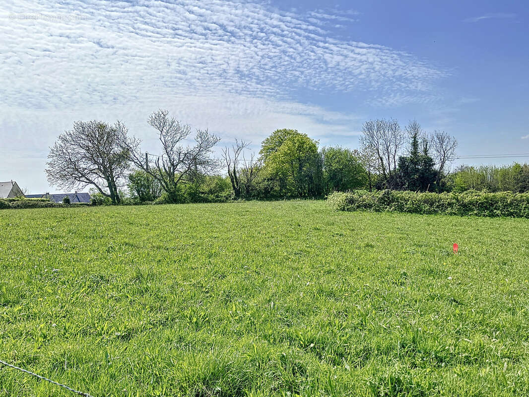 Terrain à MONTHUCHON
