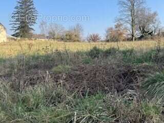 Terrain à CIRY-SALSOGNE