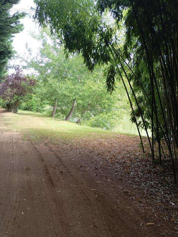 A saisir terrain de loisir aménagé avec son plan d'eau - photo 9