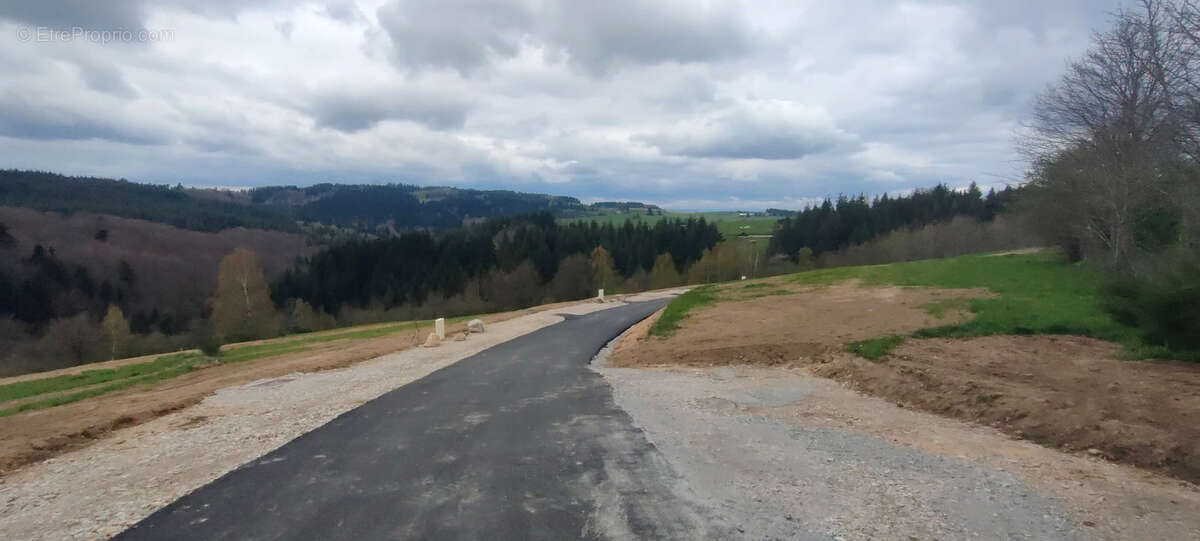 Terrain à SAINT-ROMAIN-LES-ATHEUX