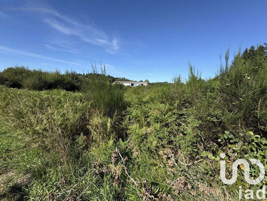 Photo 7 - Terrain à USSEL