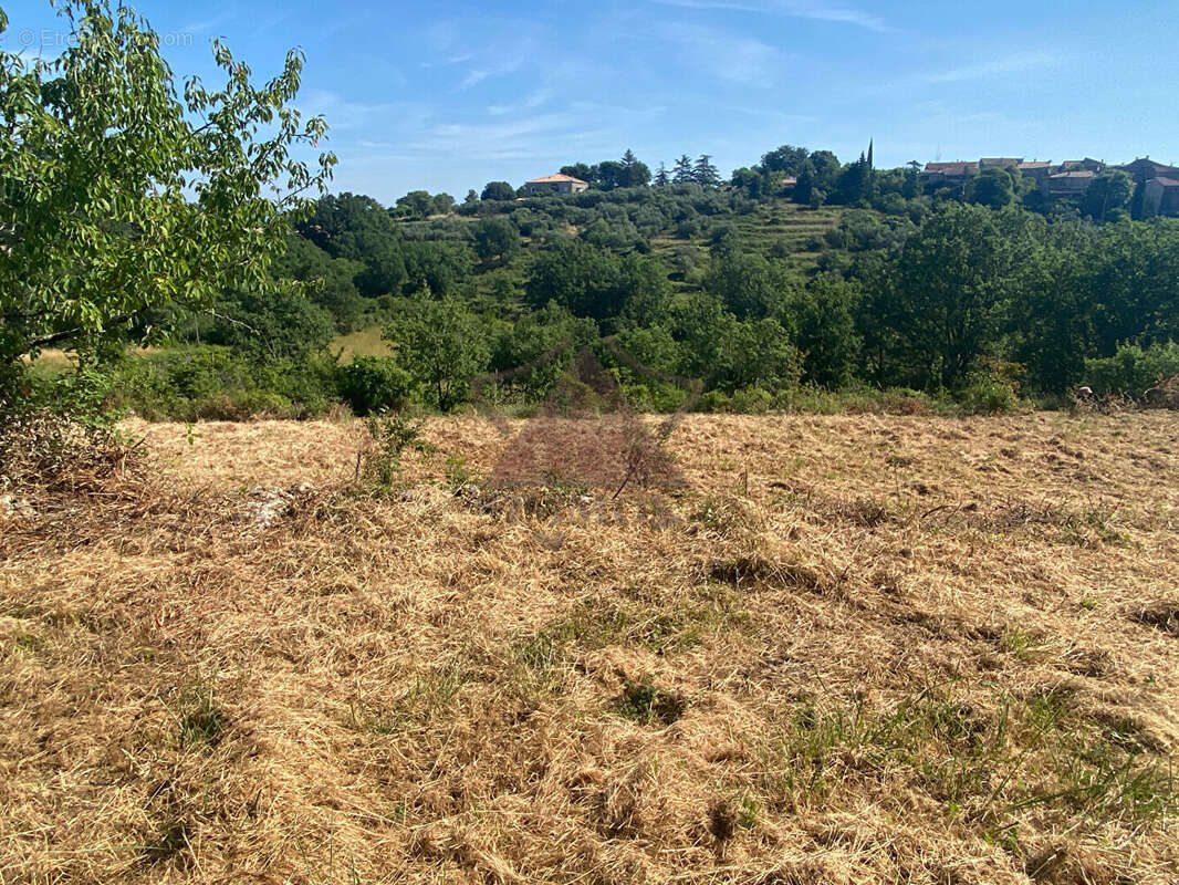 Terrain - Jolie environnement - photo 3
