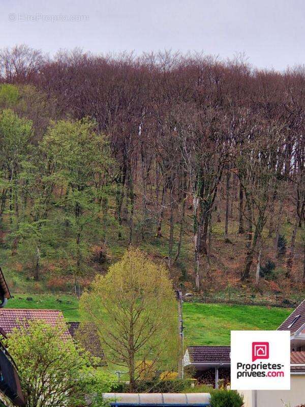 Maison à PONT-DE-ROIDE