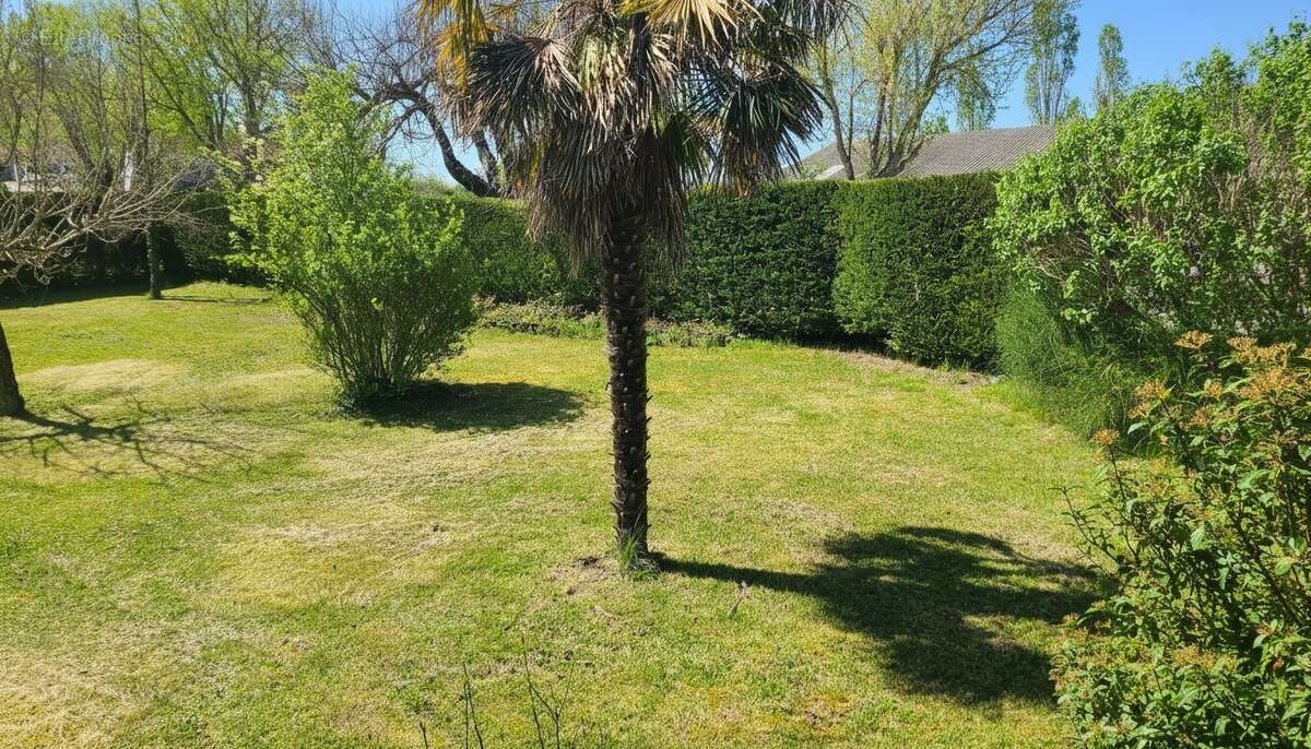 Lauzerte - Une adresse stratégique aux multiples possibles, entre projet professionnel et maison de famille - photo 4