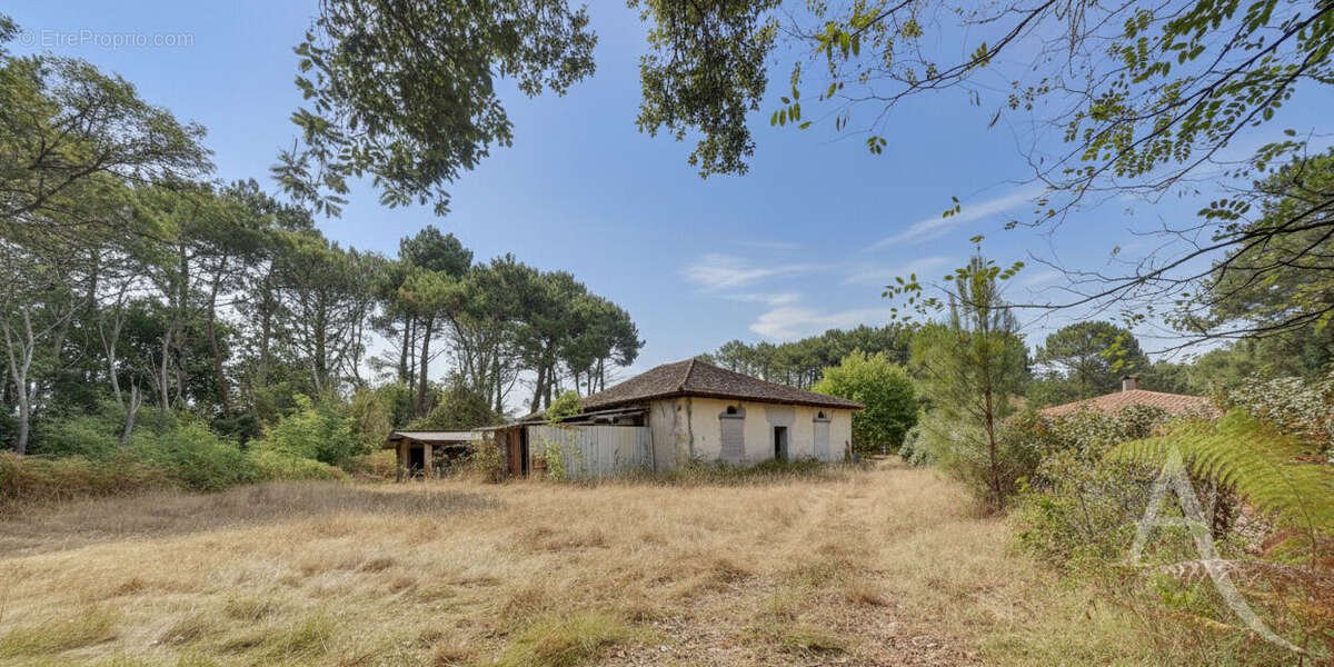 SOUSTONS-PLAGE -Maison de maître rénovée de 176 m² avec grange de 120 m² sur un airial - photo 14