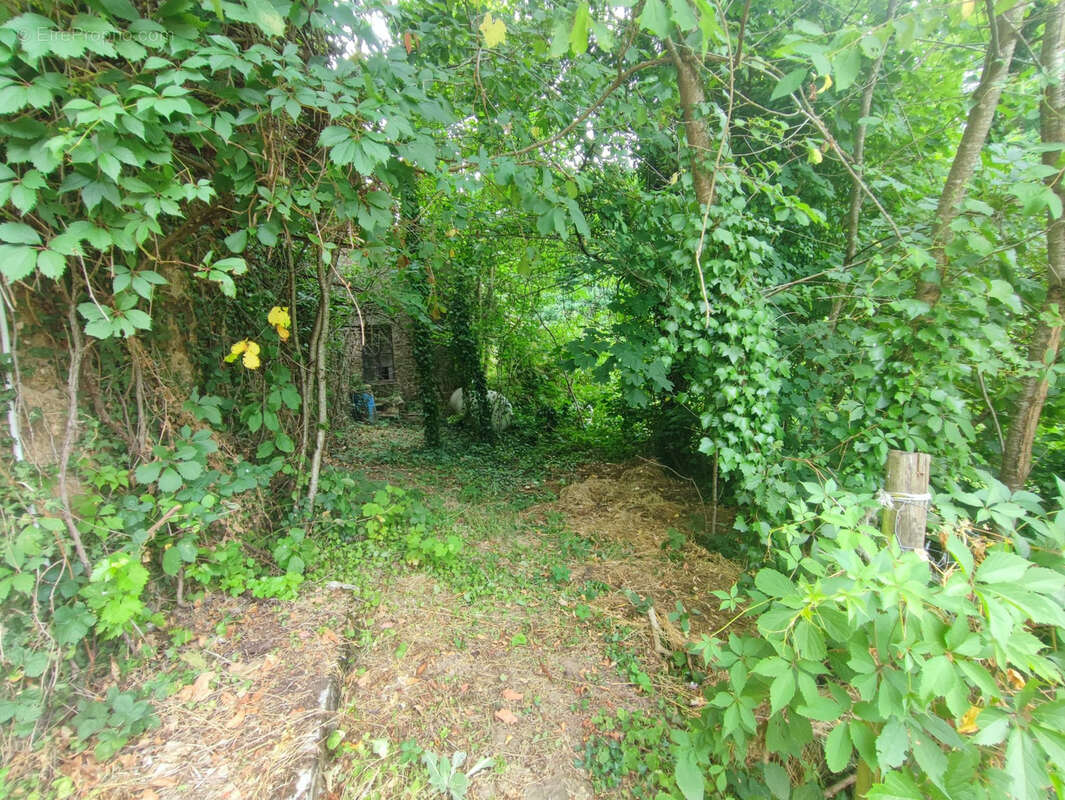 Appartement à CASSAGNES-BEGONHES