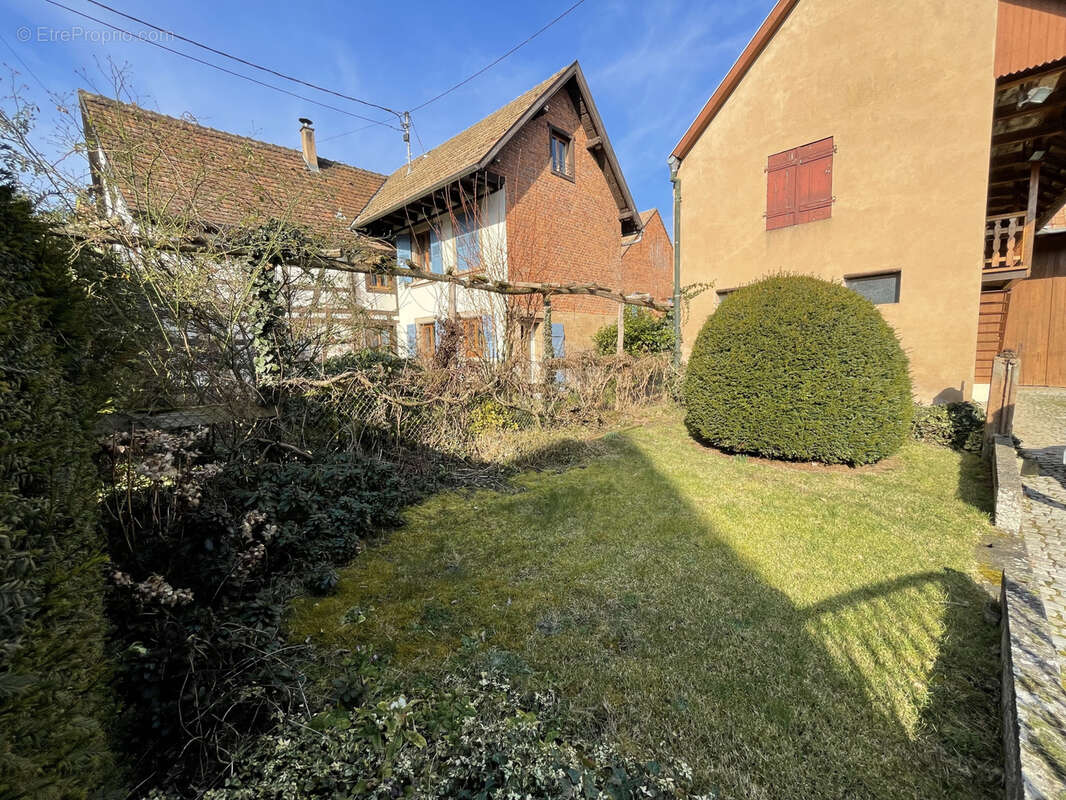 Maison à MITTELHAUSEN