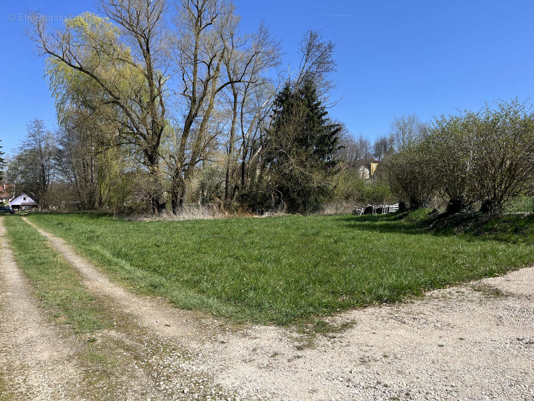 Terrain à HIRTZBACH