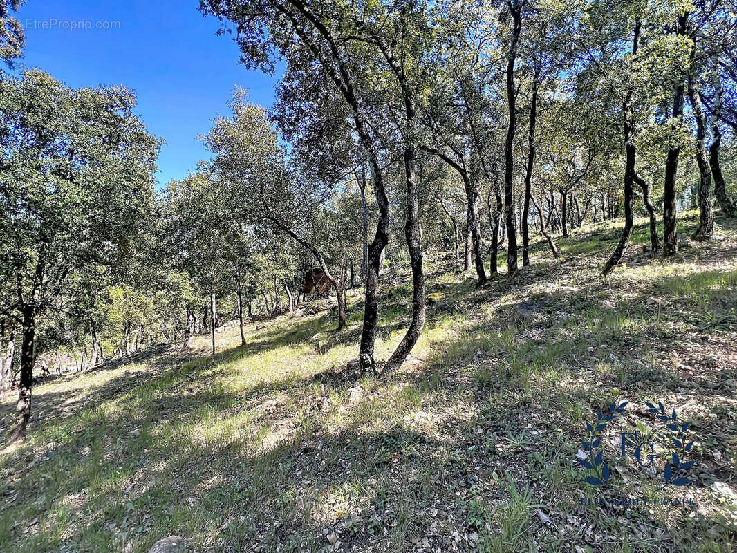 Maison à BESSE-SUR-ISSOLE