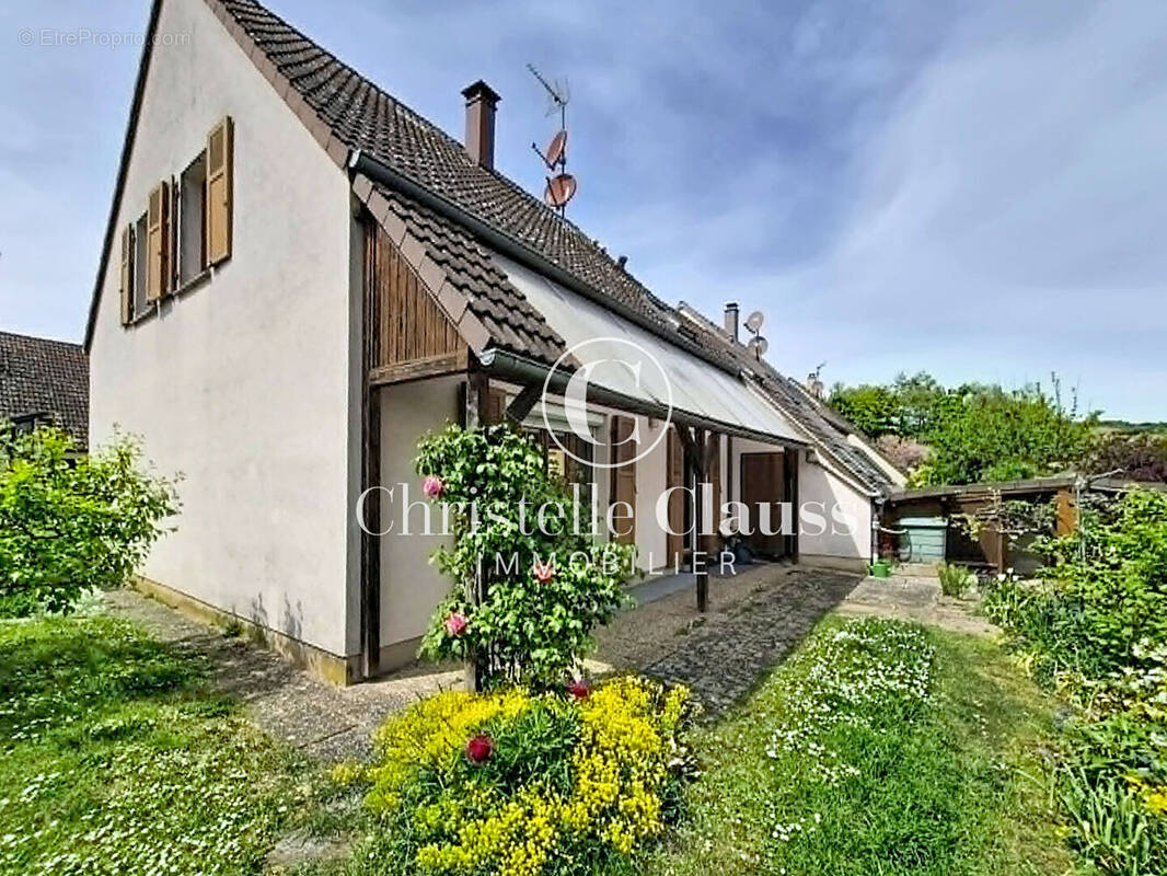 Maison à AMMERSCHWIHR