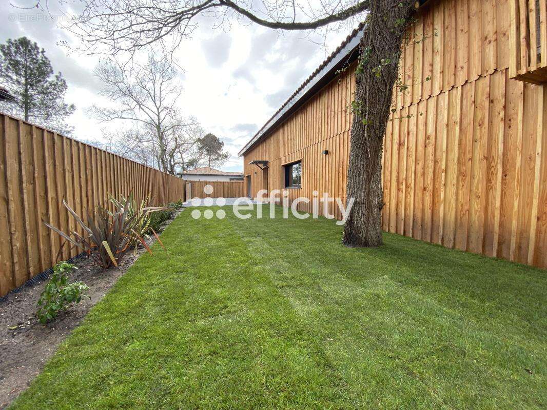 Maison 200 m² à Lege-Cap-Ferret  - photo 20
