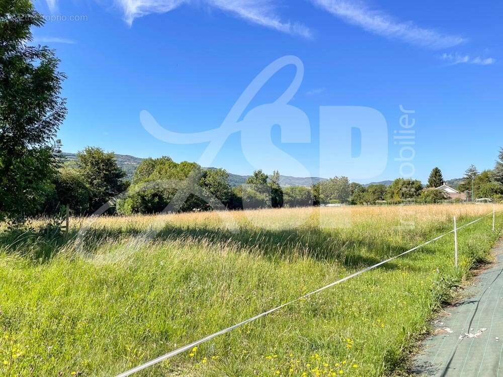 Terrain viabilisé (Lot 2) - Terrain à PANISSAGE