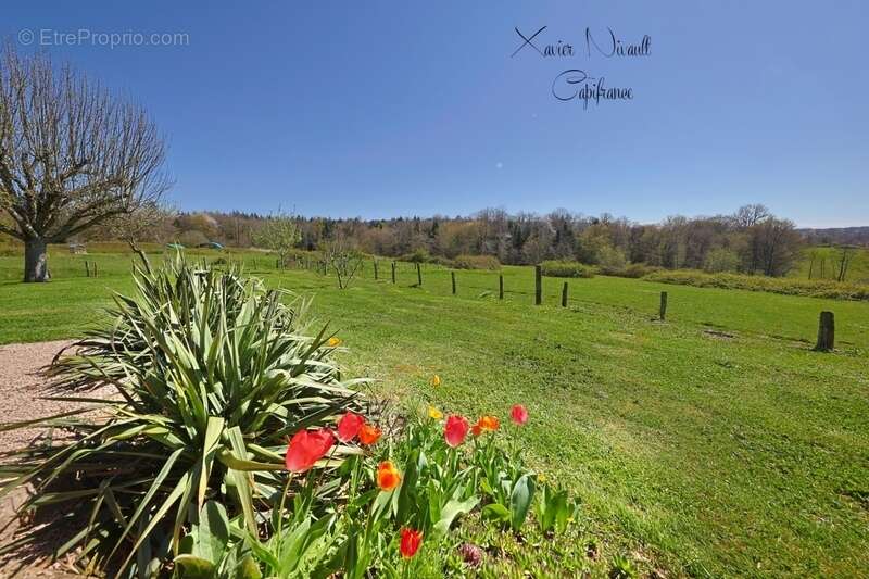 Maison à SAINT-AMOUR
