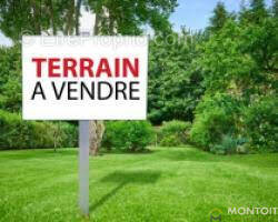 Terrain à VILLENEUVE-SUR-YONNE