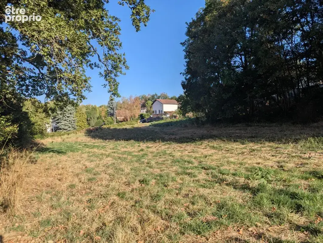 Terrain 4 200 m² à vendre à Thiers (63300) - photo 3