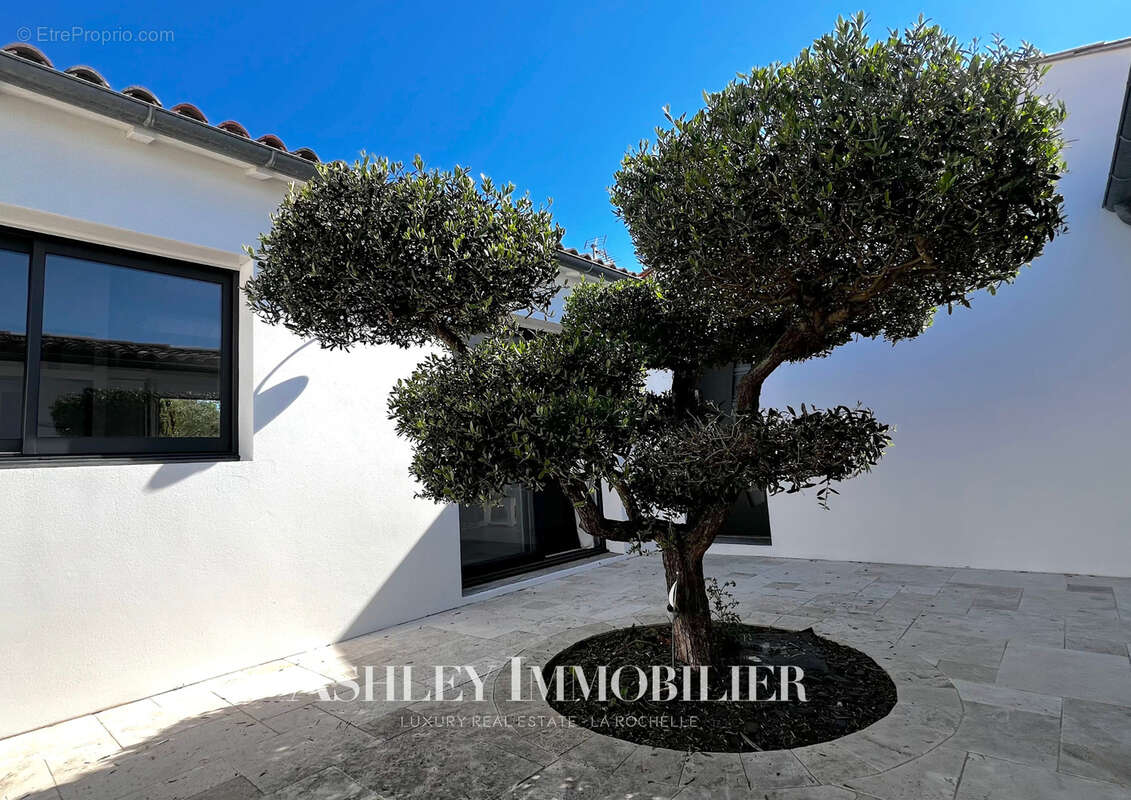 Maison à SAINT-MARTIN-DE-RE