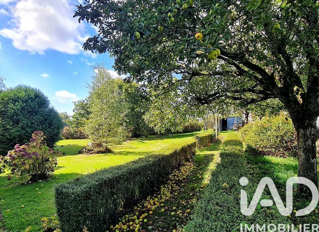 Photo 4 - Terrain à SAINTE-ANNE-D'AURAY