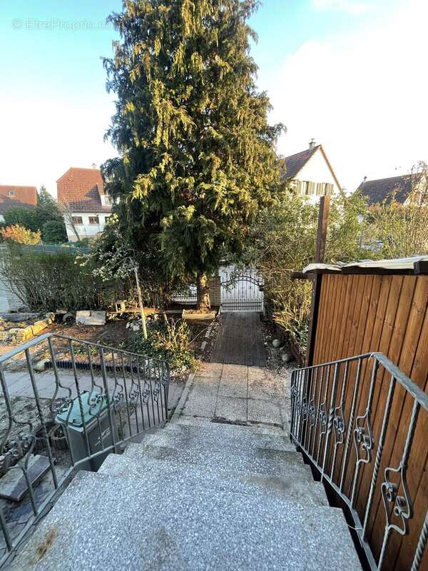 Maison à ALGOLSHEIM