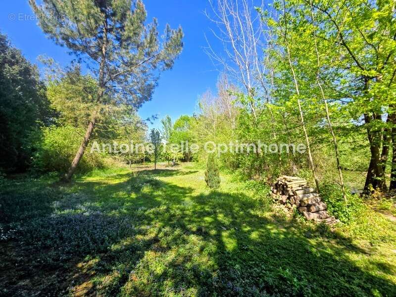 Bazuel / Le Cateau 59360 - Longère individuelle de campagne avec chalet, sauna, jardin arboré & étang sur 5265m² - photo 8