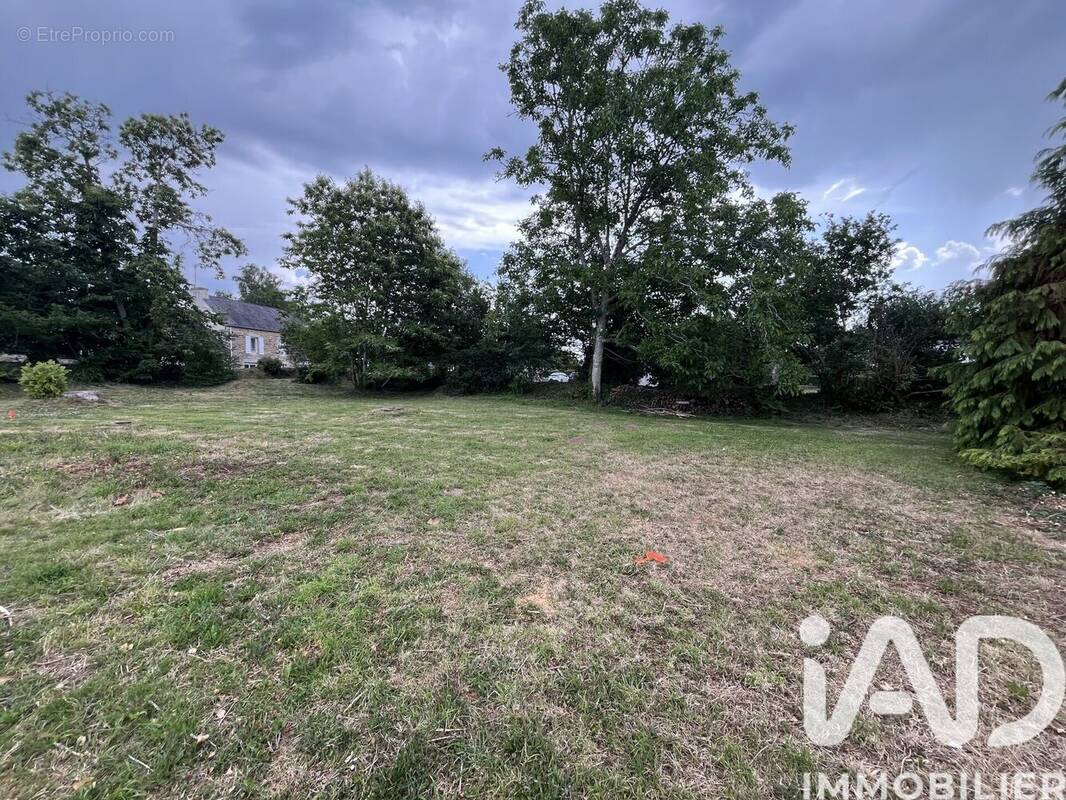 Photo 1 - Terrain à LA FORET-FOUESNANT