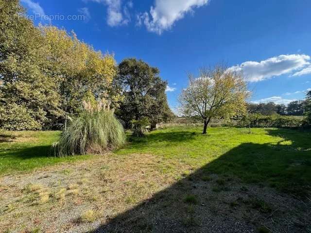 Maison à LIAS-D&#039;ARMAGNAC
