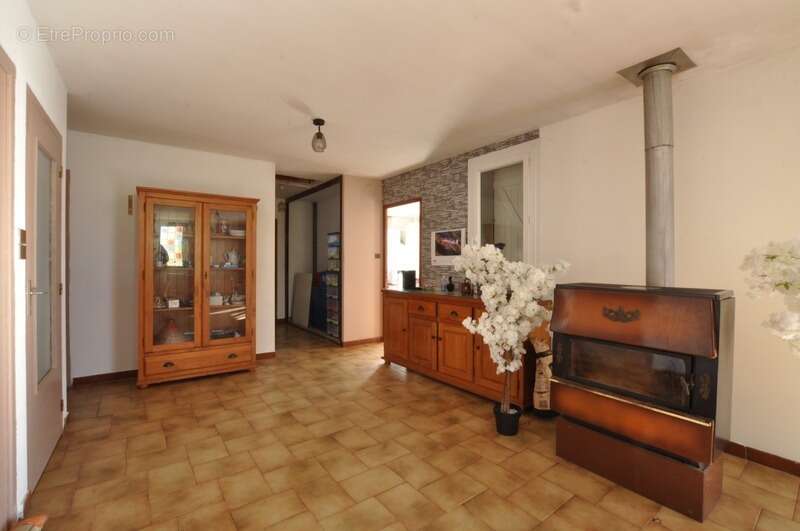 Maison à MOISSIEU-SUR-DOLON