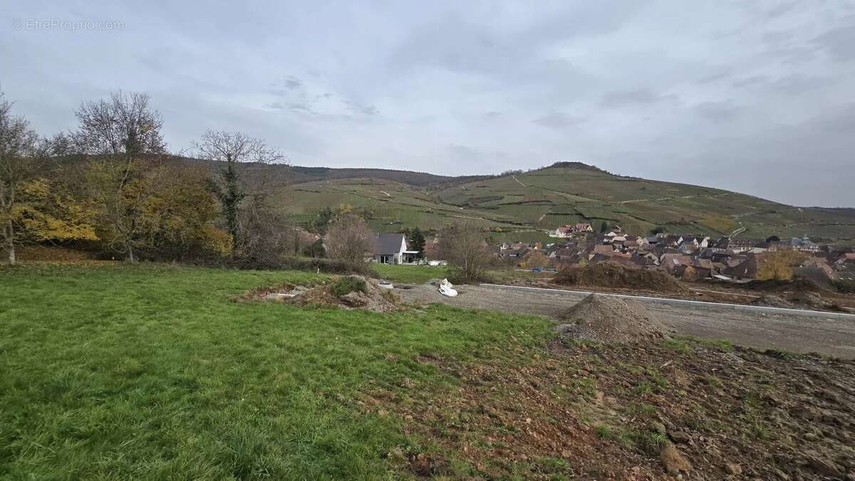 Terrain à SOULTZMATT
